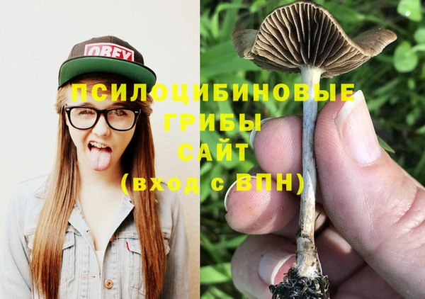 ECSTASY Протвино
