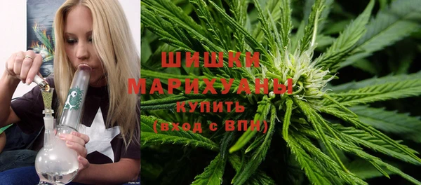 МДПВ Пролетарск