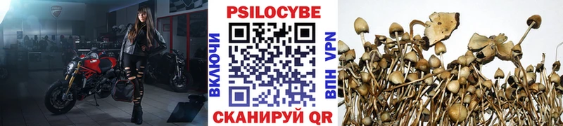 сайты даркнета формула  Тюкалинск  Галлюциногенные грибы Psilocybe  дарнет шоп 